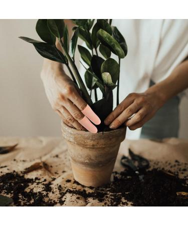 Beavorty 24 Pairs Silicone Finger Protectors - Cut Resistant Finger Sleeves for Ultimate Finger Protection | International Shipping Available - Buy Online on GoSupps.com