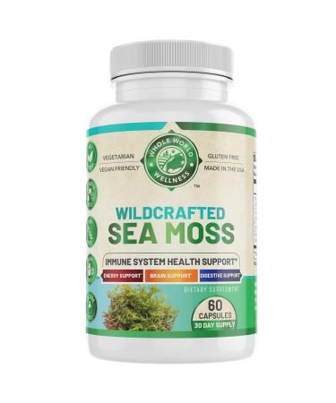 WHOLE WORLD WELLNESS Organic Sea Moss | Immune Support & Brain Health | Bladderwrack, Burdock Root & Bioperine | All Natural, Dairy Free, Gluten Free | 60 Capsules | Made in The USA.