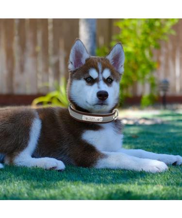Senristar Personalized Reflective Dog Collar & Leash Set - Custom Engraved Name Tag for Small Medium & Large Dogs & Cats | 1.5 cm Width 25-32 cm Neck | Brown - Buy Online on GoSupps.com