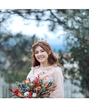 Beaupretty Silver & Gold Strass Star Crown Headband | Wedding Tiara & Pageant Princess Crown | Perfect for Christmas & Special Occasions - Buy Online on GoSupps.com