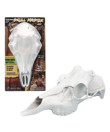 Mountain Mike's Reproductions Skull Master - Universal Antler Mounting Kit - European-Style Mount Kit for Antlers - Fits Most Antlers - Compatible with Harvested and Shed Antlers - White Natural