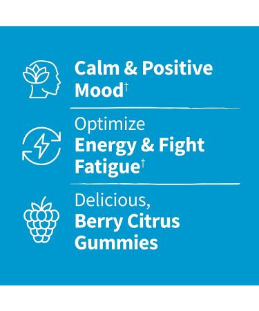 Garden of Life Kids Stress Relief Gummies - Non-GMO Calming Supplement with L-Theanine & Lavender - 60 ct Vegan Energy Support - Dr. Formulated for Positive Mood - Berry Citrus Flavor - Buy Online on GoSupps.com