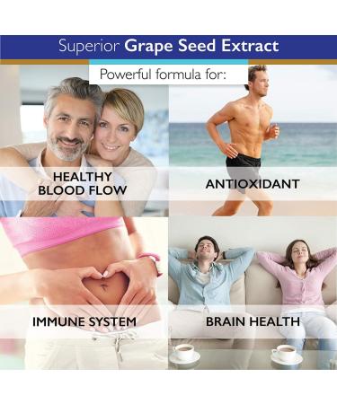 Superior Labs Grape Seed Extract 400mg 120 Vegetable Capsules 95% Polyphenols High Antioxidant Content Healthy Blood Flow Supports Immune System and Brain Health - Buy Online on GoSupps.com