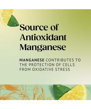 Twinings Lemon Green Tea - 20 Tea Bags, Pack of 20 Count - Refreshing Citrus Flavor - Buy Online on GoSupps.com