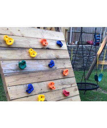 KINSPORY 10Pc Colourful Pig Nose Shape Kids Rock Climbing Holds with Blue Handles - Playground Set with Mounting Hardware - Buy Online on GoSupps.com