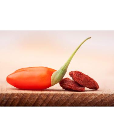 Buy Premium Organic Goji Berries from Tibet - High-Quality Dried Superfood Freshly Packaged Daily 250g Hand Made in Germany - Buy Online on GoSupps.com