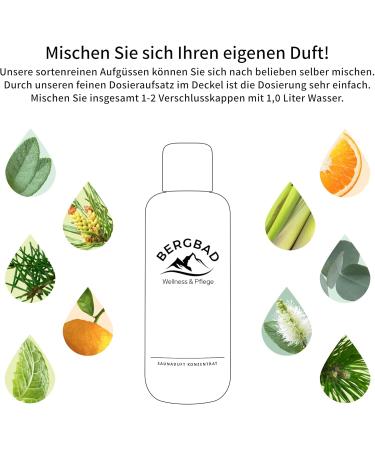 BERGBAD 250ml Ice Mint Sauna Infusion - Soothing & Refreshing with Essential Oils | International Shipping - Buy Online on GoSupps.com