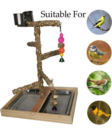 Tfwadmx Natural Wood Bird Perch Stand Toy for Parrots - Platform Play Stand for Parakeets, Canaries, Cockatiels, Conures, Lovebirds - Buy Online on GoSupps.com