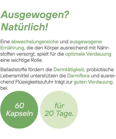 High-Dose Artichoke Capsules | 1200 mg Natural 12:1 Extract | 60 Capsules | Eurho Vital - Made in Germany | International Shipping - Buy Online on GoSupps.com