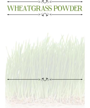 Wheatgrass Powder 500g - Organic Superfood for Health & Detox | International Shipping - Buy Online on GoSupps.com