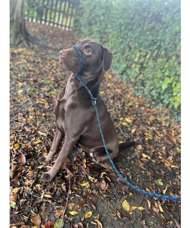 No More Pulling! Anti-Pull Field Figure 8 Halter - One Size Fits All, Super Soft Braided Nylon - Green-Black - Buy Online on GoSupps.com