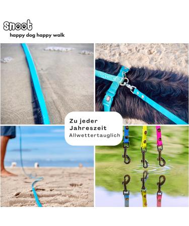 10m Cyan Blue Dog Leash for Small Dogs - Extra Narrow Dirt & Water Repellent with Carabiner - Buy Online on GoSupps.com