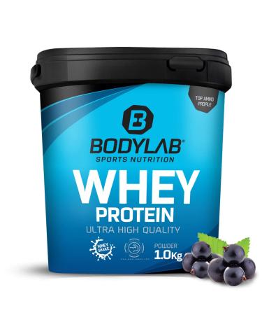 Bodylab24 Whey Protein Powder Blueberry 1kg Blueberry 1 kg (1 pack)