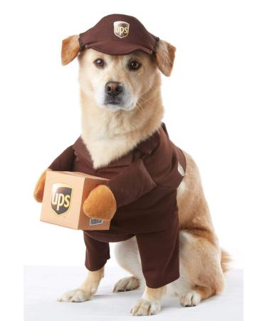 Pet Ups Pal Costume Medium (Pack of 1)