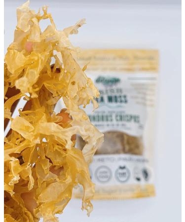 Irish Sea Moss from Ireland | Wildcrafted Chondrus Crispus | Raw Golden Irish Moss - Buy Online on GoSupps.com