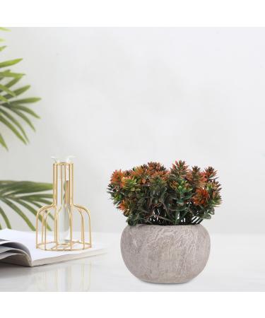 Ciieeo 2pcs Simulated Green Bonsai Artificial Succulents Plants Miniture Decoration Artificial Cactus Small Succulent Plants Silk Plants Greenery Decor Accessories Office Foam Nordic - Buy Online on GoSupps.com