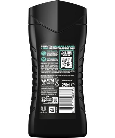  AXE - Apollo 5-in-1 Men's Shower Gel - 24h Moisturizing - 87% Natural Ingredients - Sage & Cedarwood Fragrance - Pack 12x250m - Buy Online on GoSupps.com