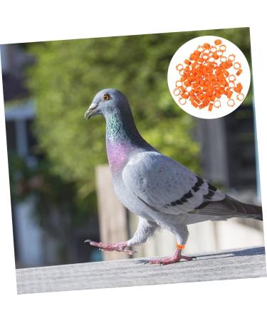 100 pcs Xuan Feet Charms Colorful Hen Leg Drumstick Number Products Stuff Identification Pigeons 1.3X1.3CM Orange - Buy Online on GoSupps.com