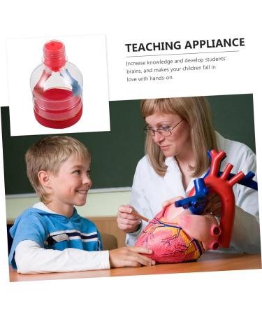Lurrose Lung Demonstration Model Sports Toy Set - Educational Teaching Aid for Children - Buy Online on GoSupps.com