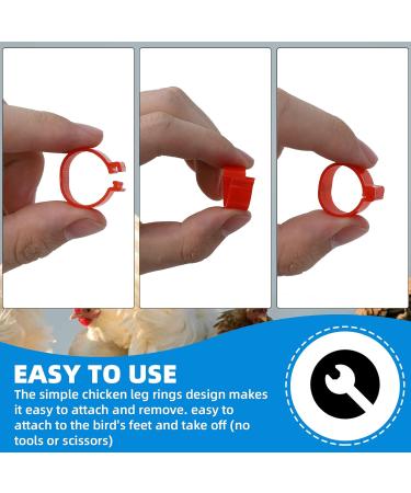 Cywvynyt 48 Multi-Colored Chicken Leg Rings | Numbered Clip-On Poultry Identification Straps for Gamefowl Ducks & Guinea | 20mm - Buy Online on GoSupps.com