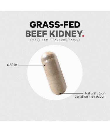 Codeage Grass Fed Beef Kidney Supplement - Freeze Dried Non-Defatted Desiccated Glandulars Nutrition Bovine Pills Pasture Raised Beef Vitamins - Non-GMO -180 Capsules - Buy Online on GoSupps.com