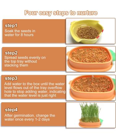 Yidm Cat Grass Germs - 2 Pack Carrot Shaped Cat Grass Planting Box | Hydroponic Indoor Garden Kit for Cats & Dogs - Buy Online on GoSupps.com