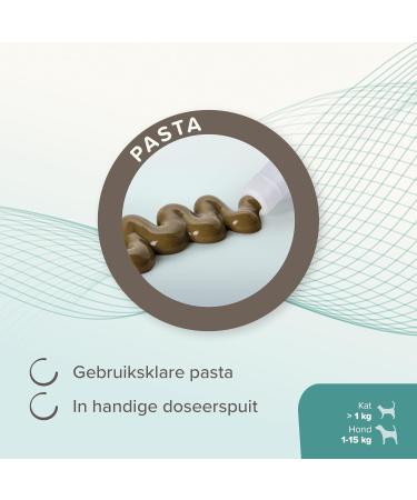 BEAPHAR IntestoPro Food Supplement to improve stool consistency Promotes Digestion Active Ingredient of Natural Origin for Cats and Small Dogs (1 15 kg) 20 ML - Buy Online on GoSupps.com