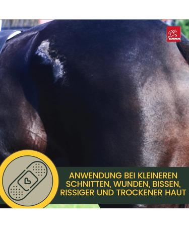 First Aid Set for Horses - Silver Spray & Zinc Ointment for Wound Healing Protection & Disinfection | 250ml & 200ml Options for Pets & Livestock - Buy Online on GoSupps.com