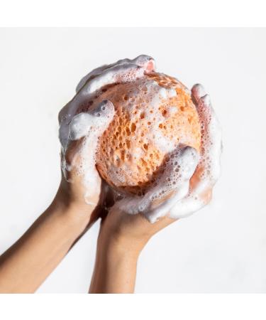 ALMA K Relaxing Shower Gel - Nourishing Body Wash for Men & Women with Dead Sea Minerals & Avocado Oil - White Tea & Neroli Scent - 8.4 oz - Buy Online on GoSupps.com