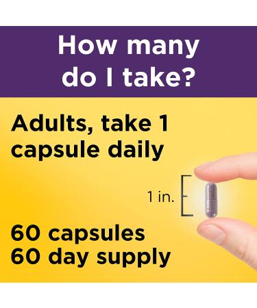 Nature Made Elderberry 400 mg Extract with Vitamin C and Zinc - Immune Support Supplement - 60 Capsules - Buy Online on GoSupps.com