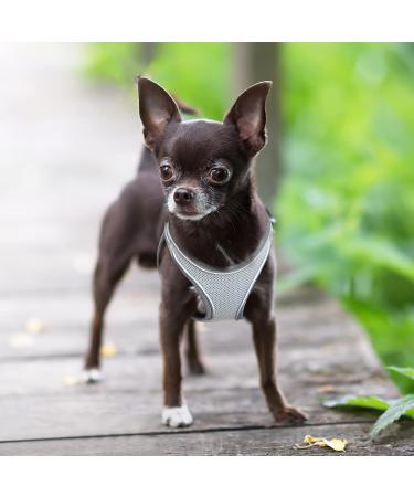 Buy Heele Adjustable Dog Harness for Small & Medium Dogs - Soft Mesh Reflective Breathable - Perfect for Comfortable Walks - 1 Pack (Gray) - Buy Online on GoSupps.com