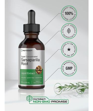 Sarsaparilla Root Liquid Extract - 2 fl oz | Alcohol-Free, Vegetarian, Non-GMO & Gluten-Free | Horbaach - Buy Online on GoSupps.com