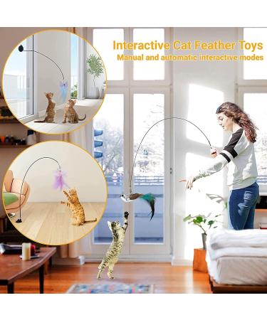 Sunshine Smile Cat Toys Set | Interactive Cat Toys Pack for Cats & Dogs | Engaging Springs & Treats - Buy Online on GoSupps.com