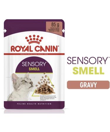 Royal Canin Sensory Smell in Gravy Wet Cat Food (12 x 85g) - Buy Online on GoSupps.com
