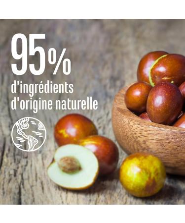Le Petit Marseillais | Expert Repair Shampoo with Organic Jojoba Oil (250 ml bottle) Repairing shampoo for brittle hair Silicone-free hair care - Buy Online on GoSupps.com