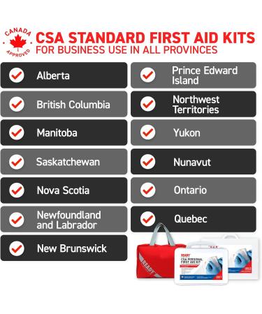 Ready First Aid - CSA Type 3 Intermediate First Aid Kit - Suitable For Workplace With A Moderate Or High Risk Work Environment Including First Aid Bag (Small For 2-25 Workers) First Aid Bag Small - Buy Online on GoSupps.com