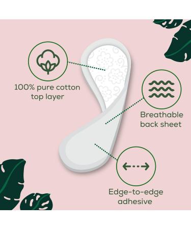 This is L. Organic Cotton Ultra Thin Liners for Women Regular Absorbency 100 Count Liners 100ct - Buy Online on GoSupps.com