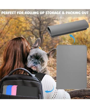 Buy Silicone Bowl Base Set (54x38cm) - Slipproof Dog & Cat Feeding Mat Waterproof & Durable - Pink 53x37cm - Buy Online on GoSupps.com