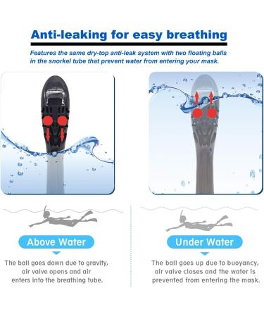 Jwintee Full Face Snorkel Mask | 180 Panoramic View for Kids and Adults | Camera Mount | Anti-Leak & Anti-Fog | Safe Breathing | Green/Black Medium - Buy Online on GoSupps.com