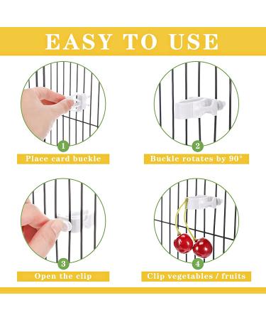 Bird Cage Food Holder Clips for Parrot, Budgie, Cockatoo - Set of 6 | Feeder Clip for Fruit, Vegetable, and Seed Treats - Ideal for Macaw, Cockatiel, Conure - Buy Online on GoSupps.com