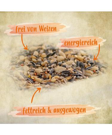 Ida Plus - Wheat-Free Bird Seed for Wild Birds - 4500g Winter Feed | Year-Round Optimal Mixture Fatty & Energy-Rich 3x1500g - Buy Online on GoSupps.com