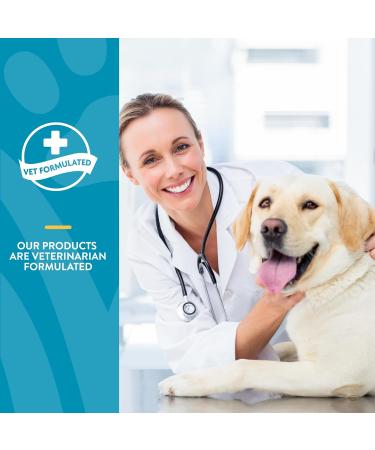 NaturVet Quiet Moments Calming Aid with Melatonin - 240 Soft Chews for Dogs | 18.6 oz - Buy Online on GoSupps.com