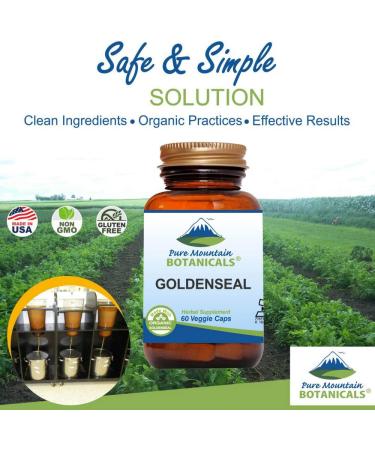 Organic Goldenseal Root Capsules - 250mg Kosher Vegan Caps | Buy Now - Buy Online on GoSupps.com