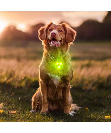 Buy Laroo Safety LED Lights for Dogs & Cats - Green Octopus | 3 Flashing Fashionable Safety Lights for Outdoor Walks & Sports - Buy Online on GoSupps.com