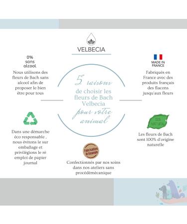 Animal t tu 50ml +1 OFFERT Elixirs de fleurs SANS ALCOOL - M thode du Dr Bach - D sob issant n' coute pas n'en fait qu' sa t te dissip  - Buy Online on GoSupps.com