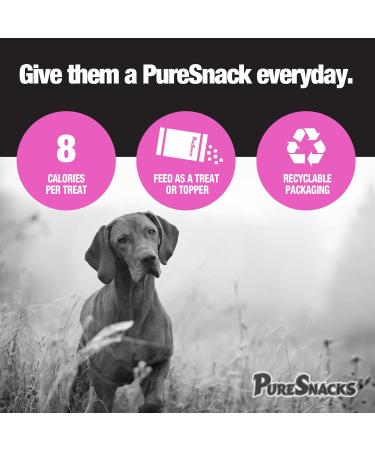 PureSnacks Freeze Dried Salmon Dog Treats 3.5oz | 100g Made in USA Pink (2PS100SM) - Buy Online on GoSupps.com