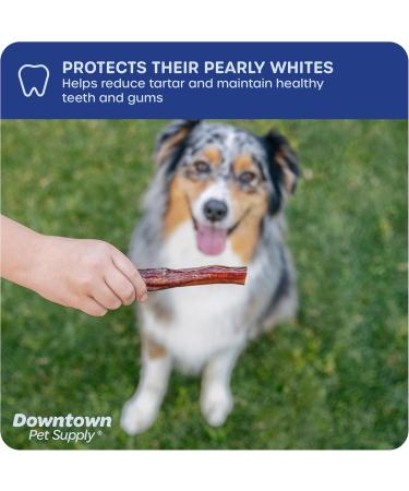 Downtown Pet Supply 12-inch Bully Sticks for Large Dogs Pack of 8 - Single Ingredient Rawhide Free Dog Chews for Aggressive Chewers - Nutrient-Rich and Odor Free Bully Sticks for Dogs - Beef - Buy Online on GoSupps.com