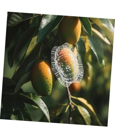 SUPVOX Vegetable Growing Candied Fruits Fruit Growth Forming Tool Multi-use Fruits to Play with - Buy Online on GoSupps.com