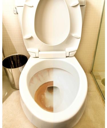 Iron OUT Automatic Toilet Bowl Cleaner - Repels Rust & Hard Water Stains - 6 Tablets, Pack of 1 - Household Toilet Cleaner - Buy Online on GoSupps.com