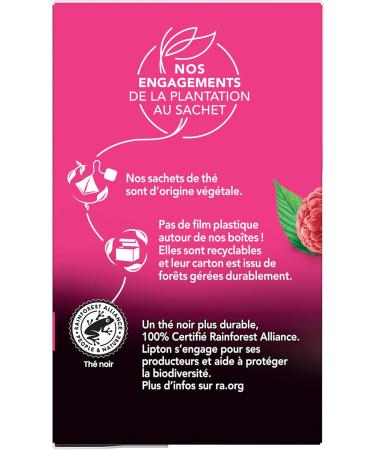 Lipton Th Noir Fruits Rouges la fraise de France 20 Sachets Pyramid  - Buy Online on GoSupps.com